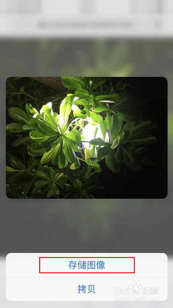 苹果手机怎么恢复已删除的照片