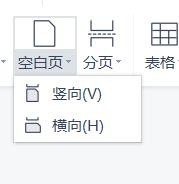 WPS如何插入空白页