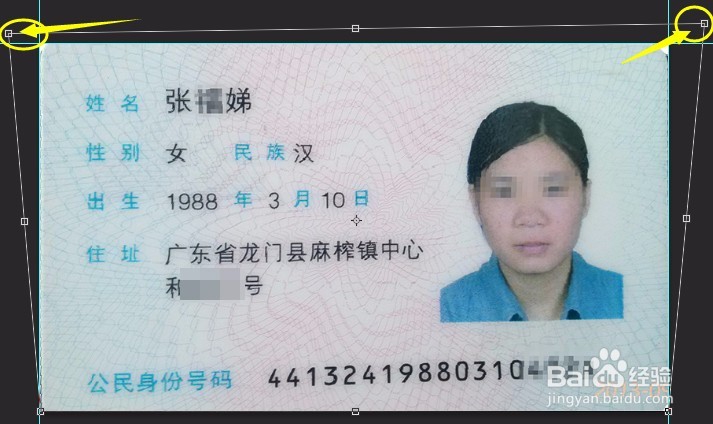 PS入门超详细步骤实例:自由变换、参考线等应用