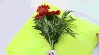 如何包装鲜花？