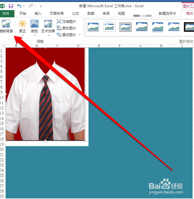 图解如何利用Excel去除照片底色