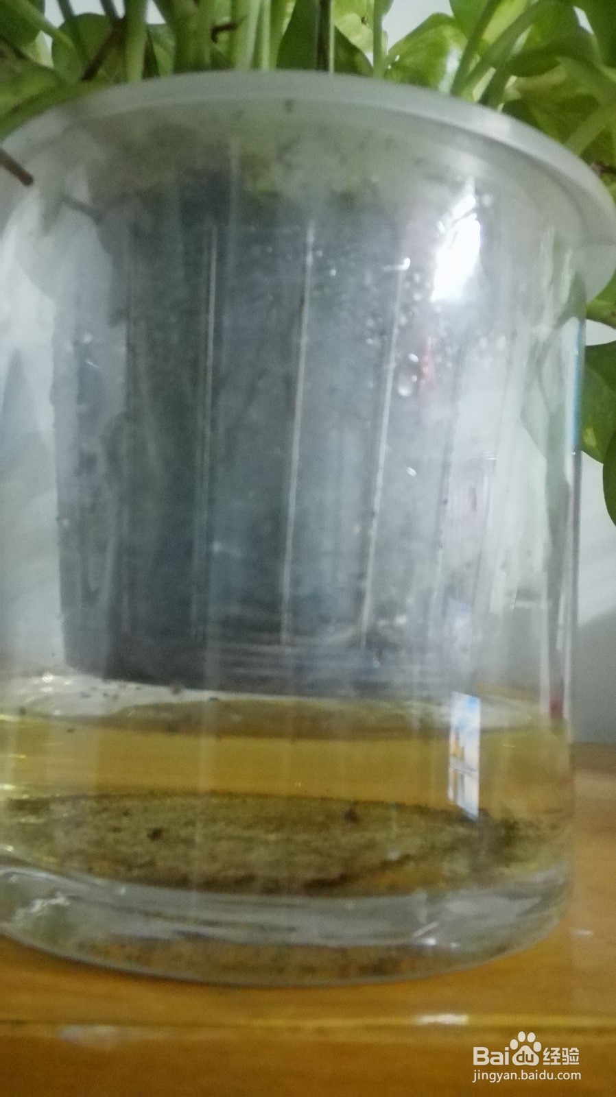 怎样做一个长期不用浇水的花盆