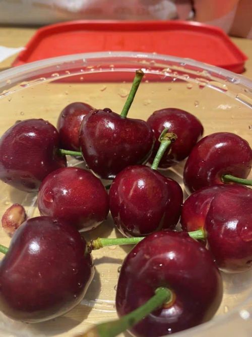 盘点中国最贵的8种水果,贵有贵的道理