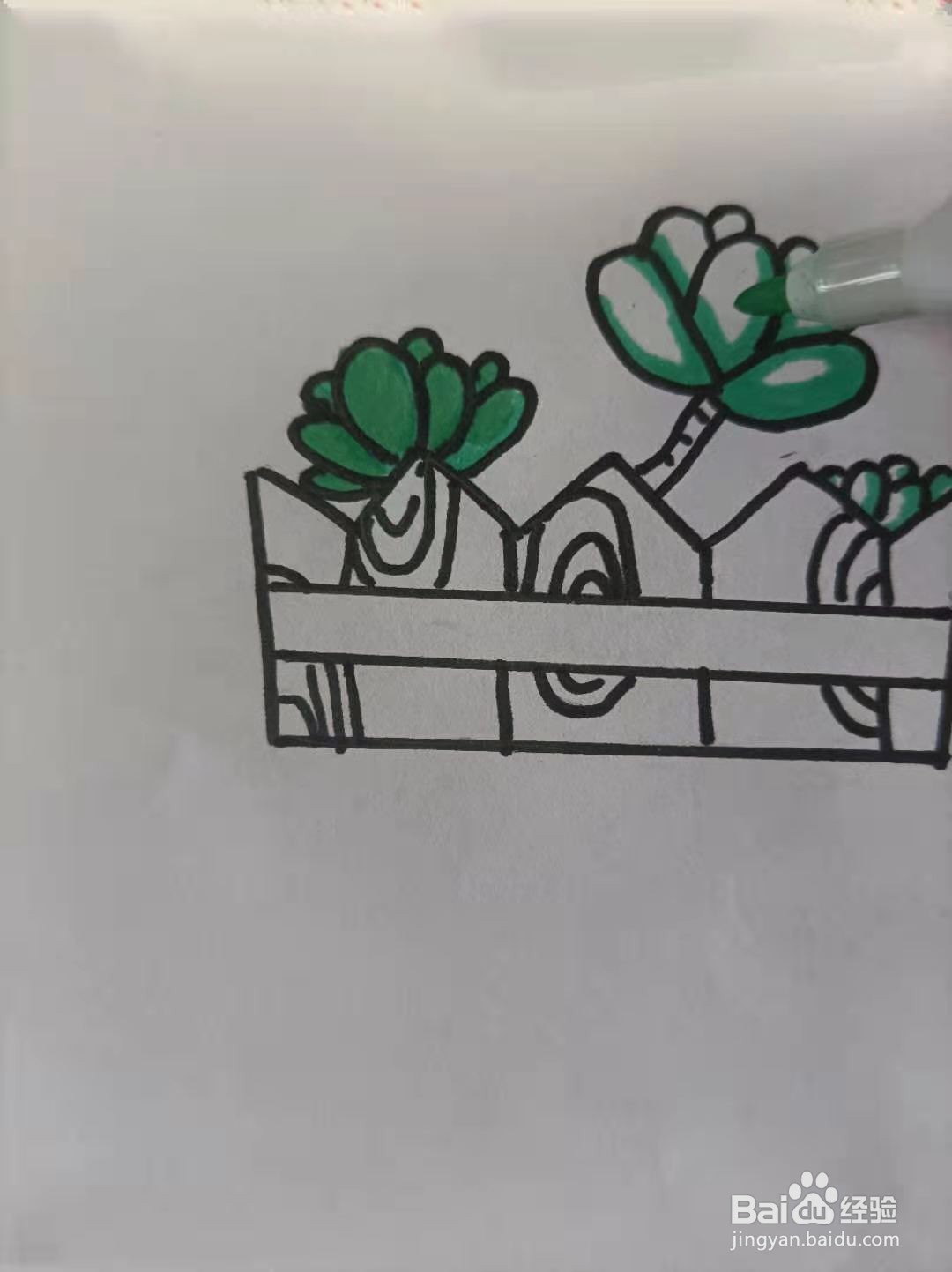 多肉的简笔画怎么画？