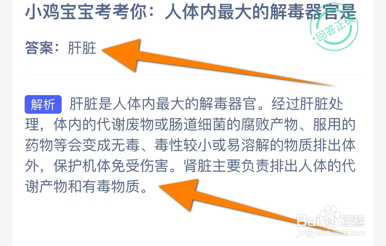 小鸡宝宝考考你:人体内最大的解毒器官是？