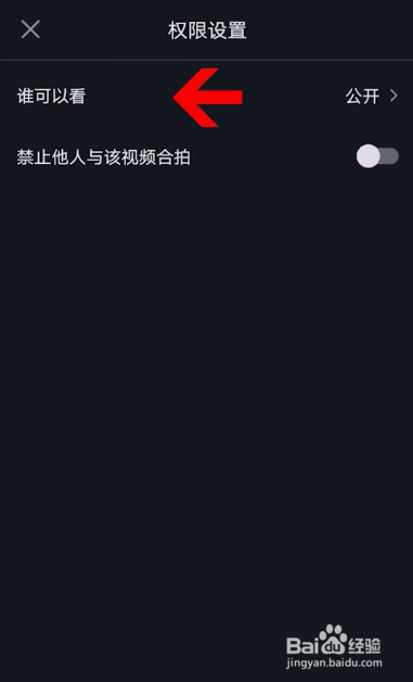 抖音发布日常一天可见怎么修改