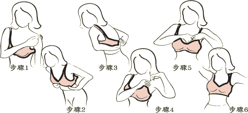 内衣的正确穿法 百度经验