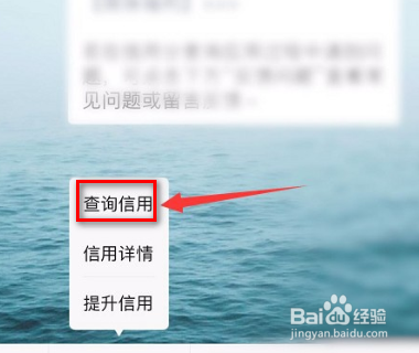 微信信誉积分在哪里查看?
