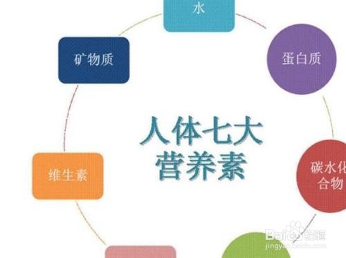 藜麦有什么营养价值