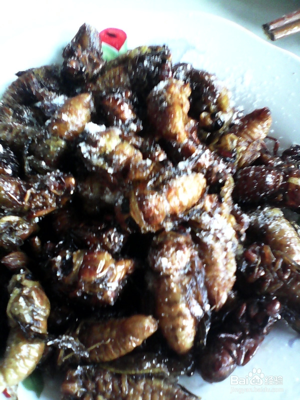 农家小院油炸知了猴美味可口