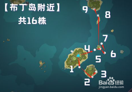 海灵芝路线图图片