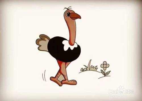 鸵鸟的简笔画教程