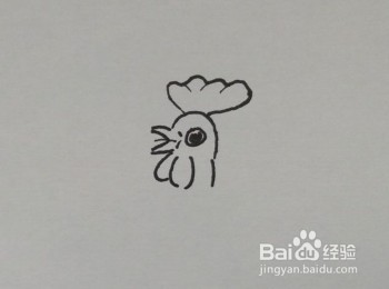线描画：大公鸡怎么画才好看