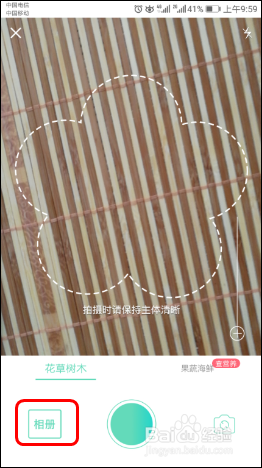 使用识花APP【形色】识别各种植物、花草、果蔬