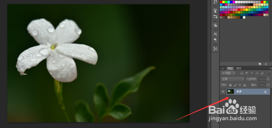 PS怎么给茉莉花染色