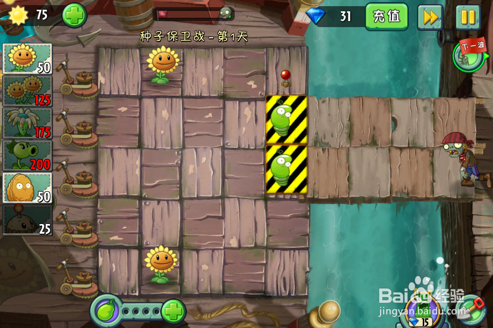 植物大战僵尸2:种子保卫战第1天(海盗港湾)