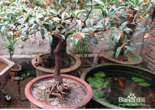 想延年益寿，试试这些生活习惯和方法！