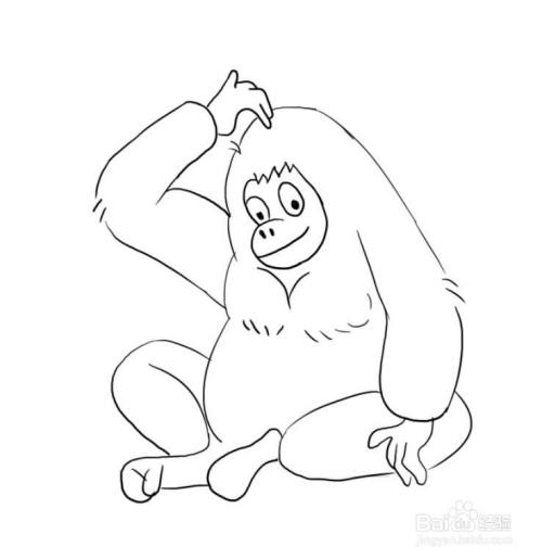 简笔画:挠头的小猴子