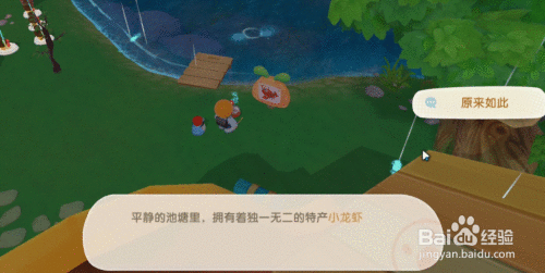 摩尔庄园渔网怎么获得|摩尔庄园手游哪里抓龙虾，摩尔庄园怎么抓龙虾