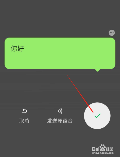 成语音什么字_tt语音(2)