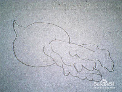 简笔画带叶子的大萝卜