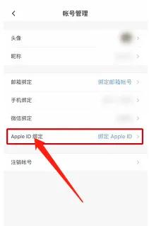 石墨文档APP怎样绑定个人Apple ID账号