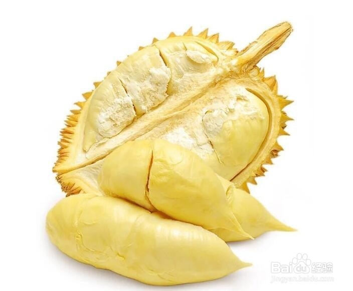 孕妇孕期应忌吃的食物