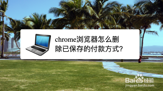 <b>chrome浏览器怎么删除已保存的付款方式</b>