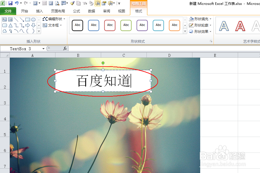 EXCEL中如何编辑图片上写字