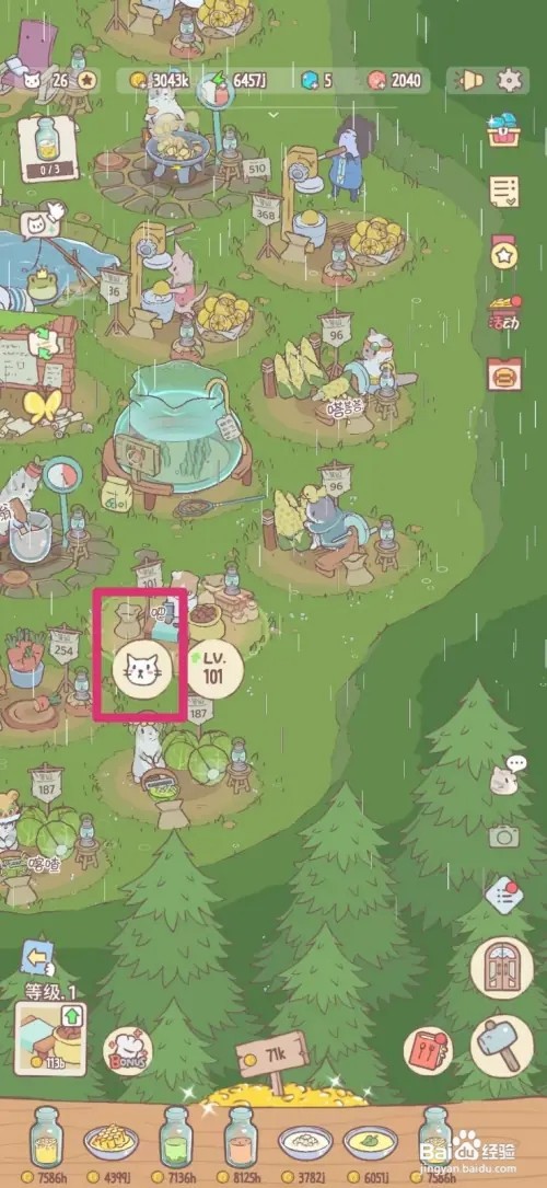 猫咪和汤怎样给猫咪戴向日葵