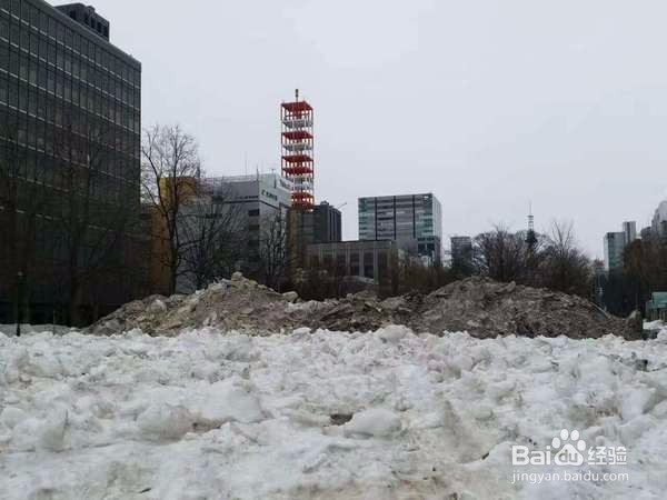 去日本发现他们真的自觉自律