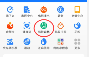 支付宝如何查看个人碳足迹