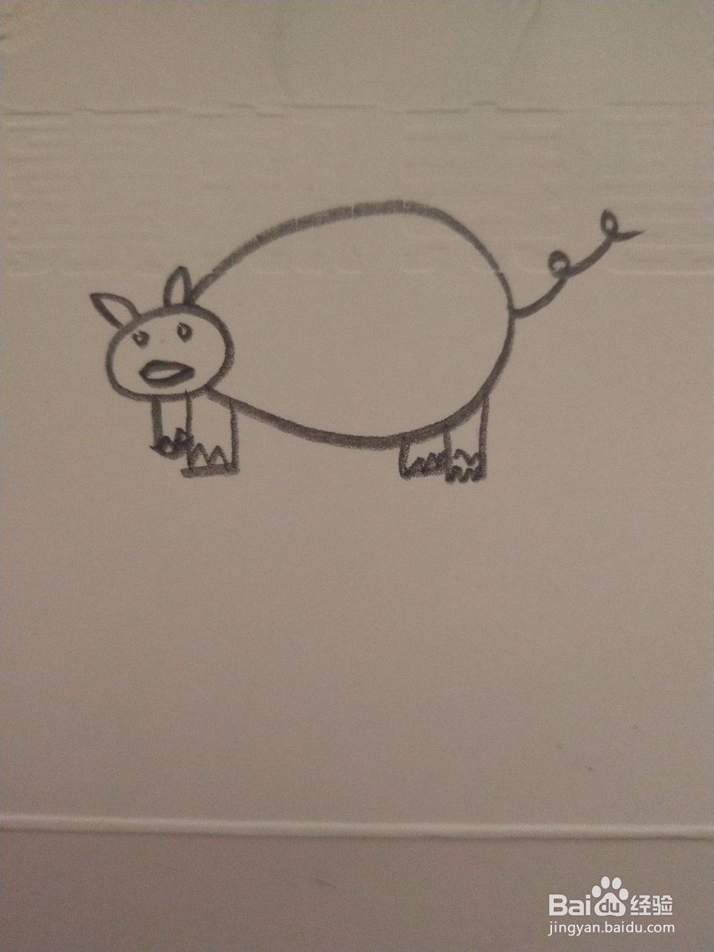 小猪简笔画怎么画