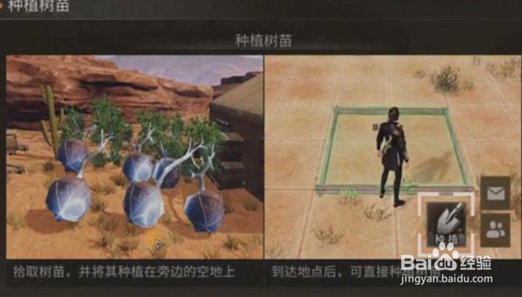 明日之后防沙护林活动攻略