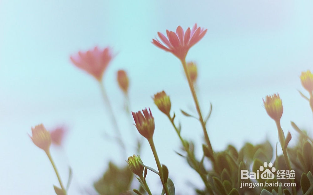 手腕腱鞘炎治疗方法