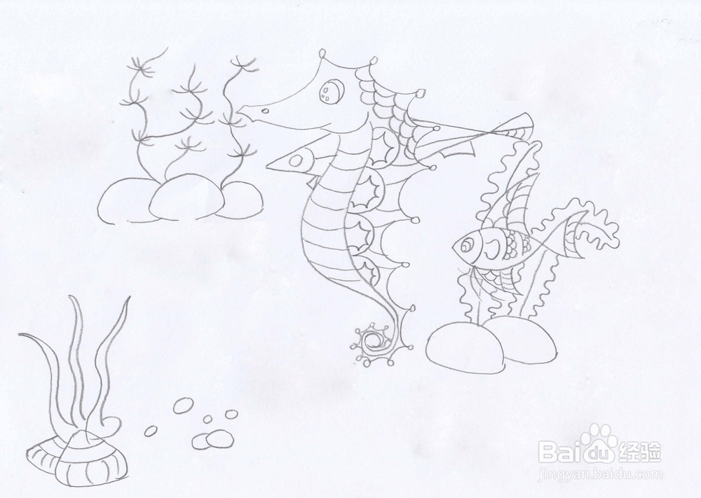 简笔画明星海马