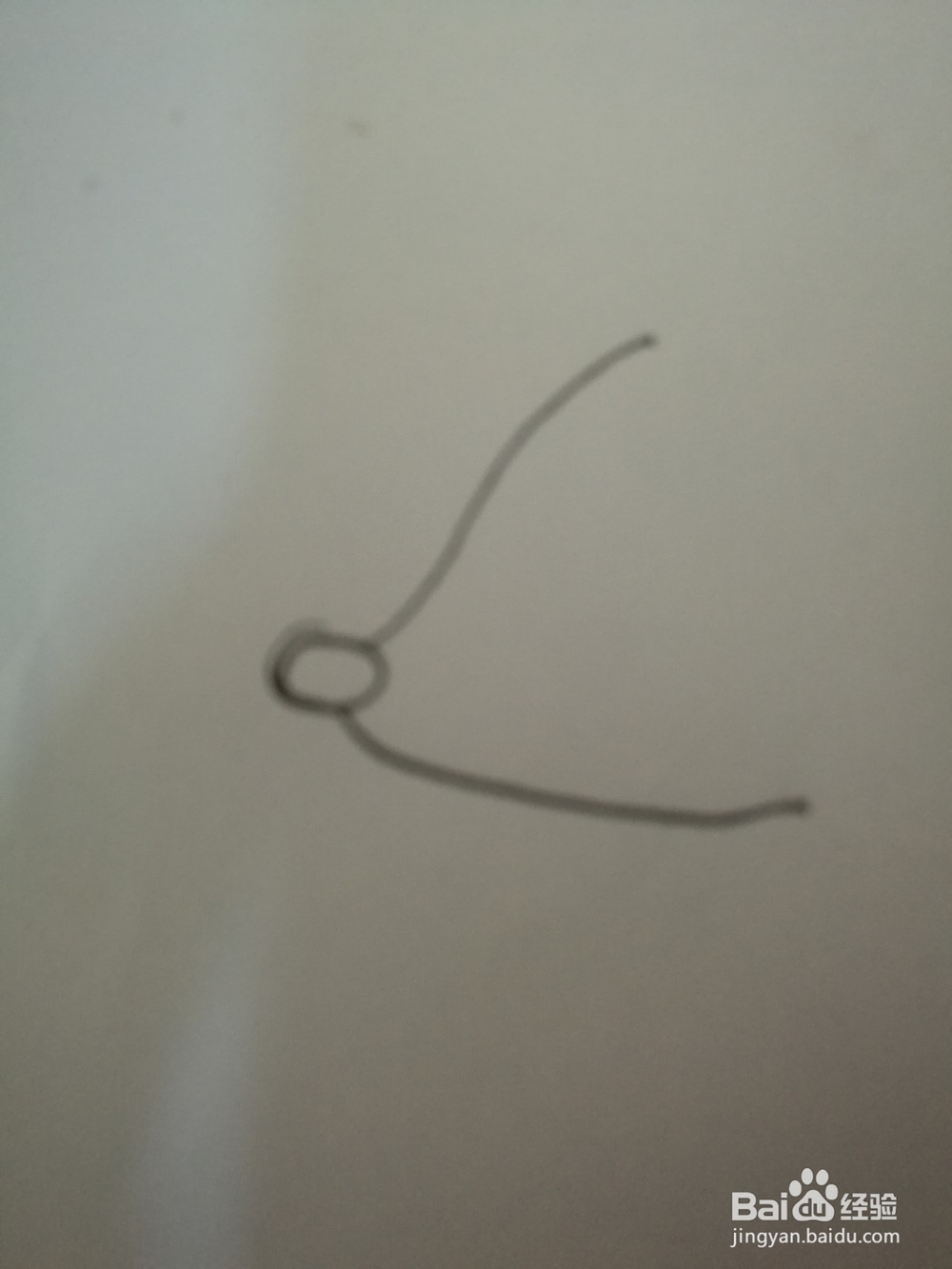 如何画一只卡通猪的简笔画