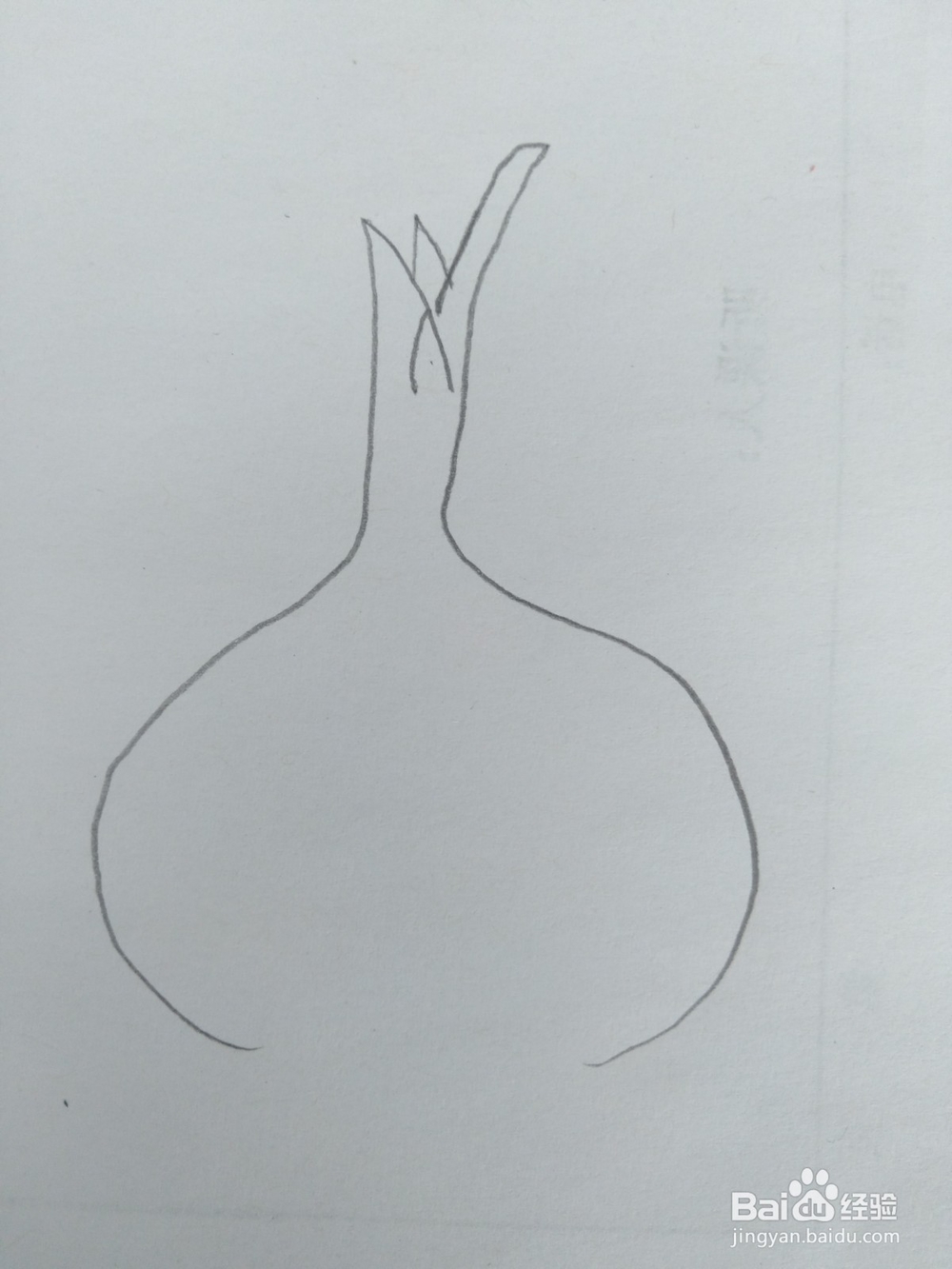 简笔画大蒜画法二