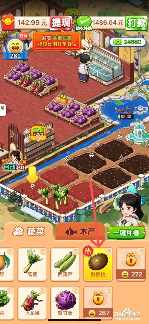 向往的小农院中如何给空闲土地种植猕猴桃