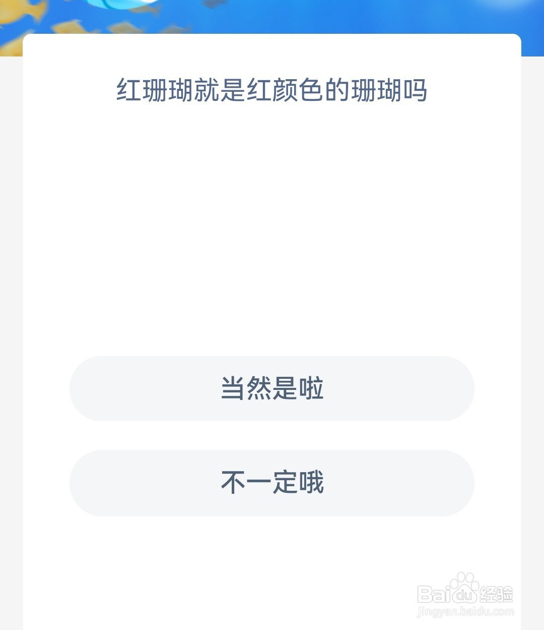 红珊瑚就是红颜色的珊瑚吗