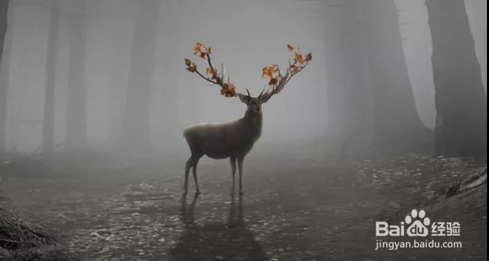 PS:合成一个奇幻神秘的森林场景(下)