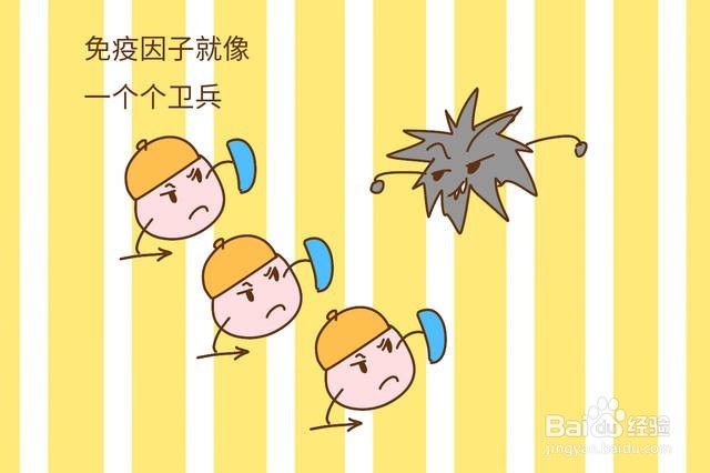 怎么样提高免疫力