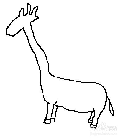 儿童简笔画:如何一步一步画一头长颈鹿