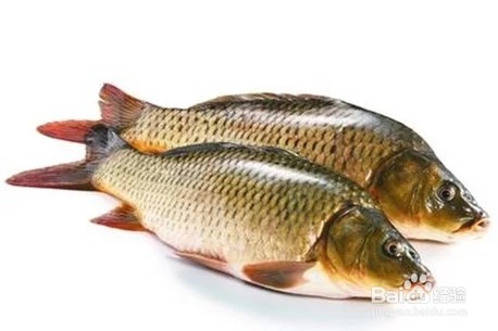 豆腐用来治疗疾病的食疗偏方