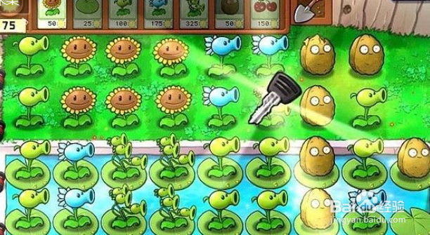 植物大战僵尸泳池2-4关攻略