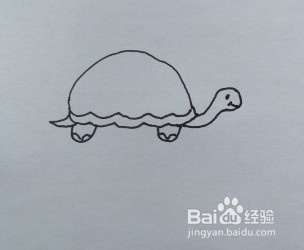 简笔画：乌龟