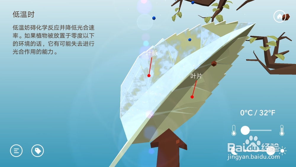 高中生物温度与光照对光合作用的影响知识点详解