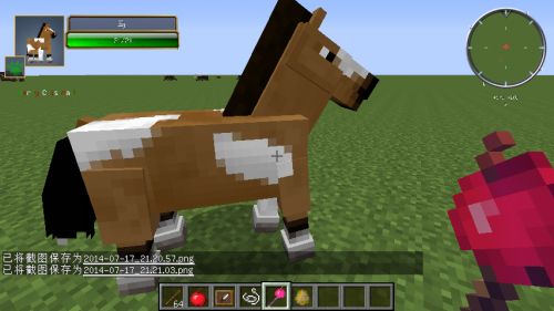 在《我的世界》中怎样把动物驯化