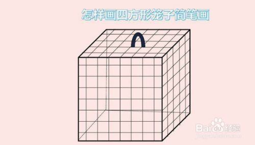 wps绘制立体笼子方法介绍