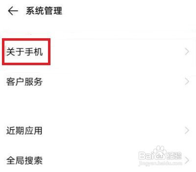 vivo怎么打开开发者模式?